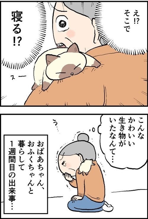 おふくちゃん