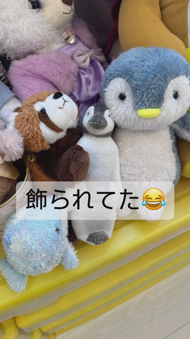 おもちゃのペンギンとぬいぐるみ