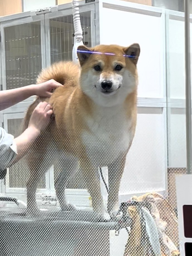 ふう太くん