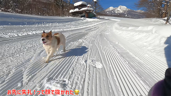 お先に失礼