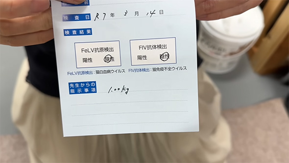 検査結果