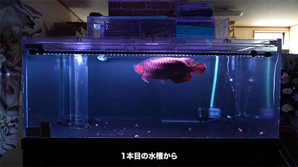 1本目の